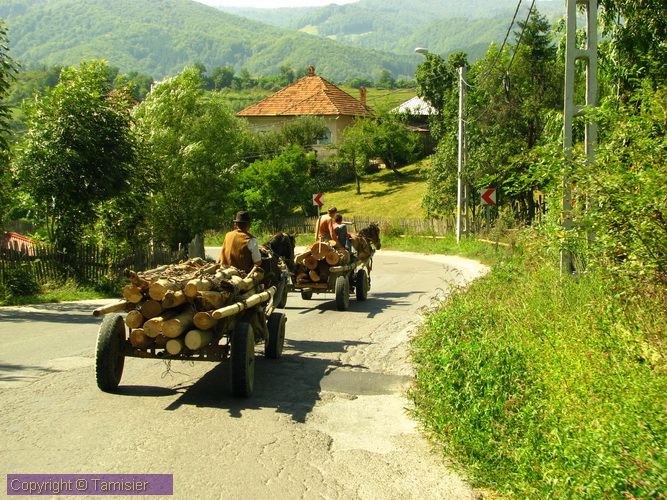2008-09-02 13-18-31.JPG - 2008-RO>Ri Cimpulung